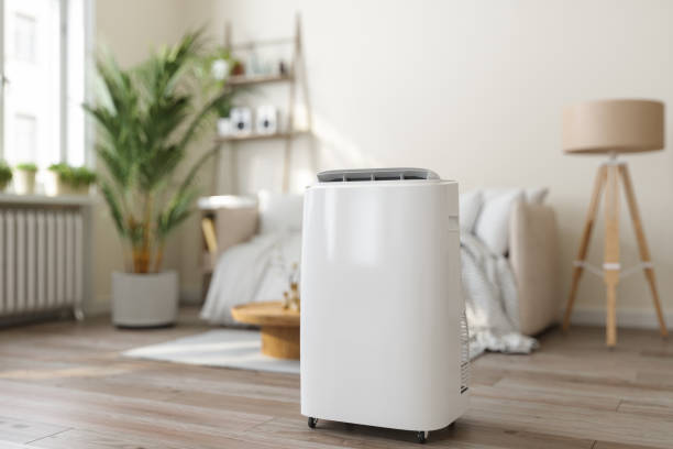 Ductless HVAC repair in Cypress Quarters, FL